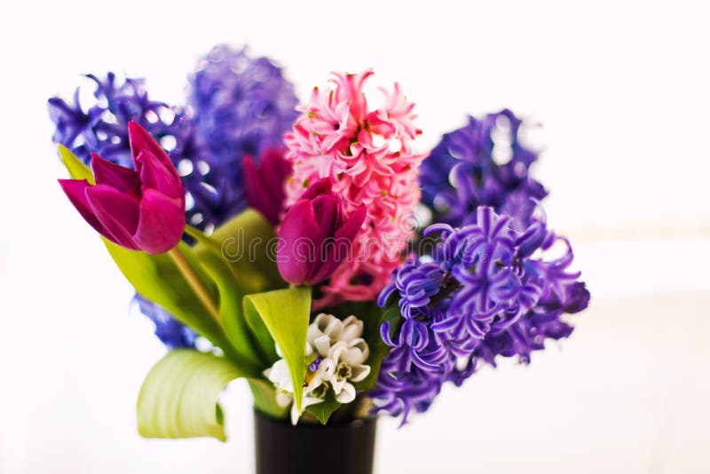 Closeup of flowers in vase. Shallow dof stock photos