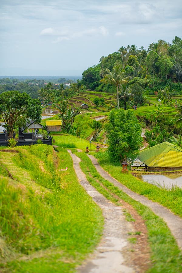 Country road on the way to the rice terraces. Bali Indonesia.  stock photos