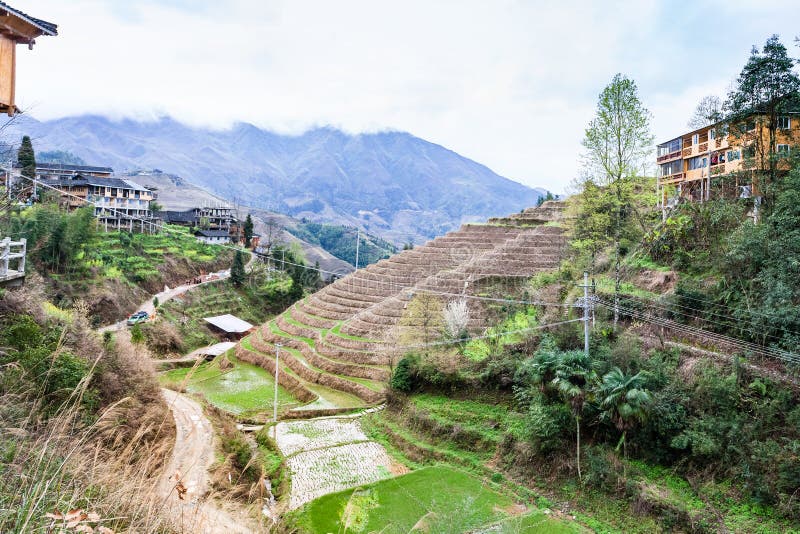 Dazhai village in area Longsheng Rice Terraces. Travel to China - view of Dazhai village in area Longsheng Rice Terraces (Dragon