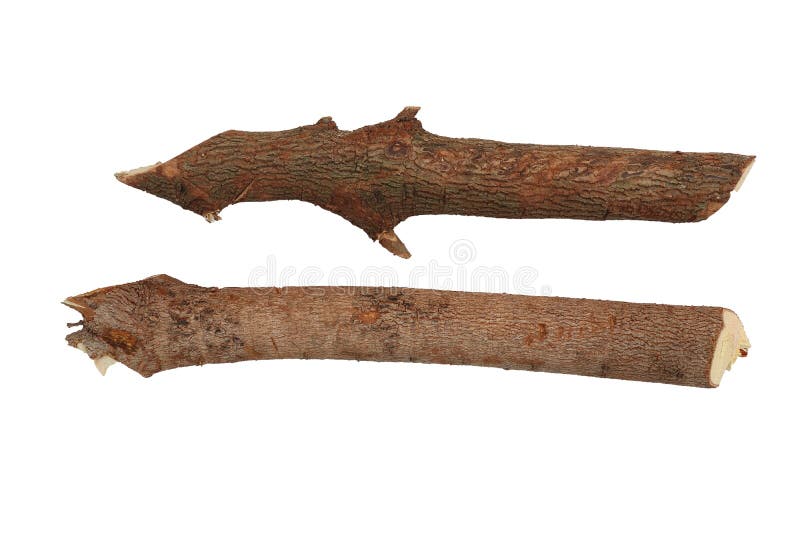 Dry branches Twigs isolated on white background, firewood, prepared for heating the house. Gathering fire wood for winter or. Bonfire. High resolution image stock image