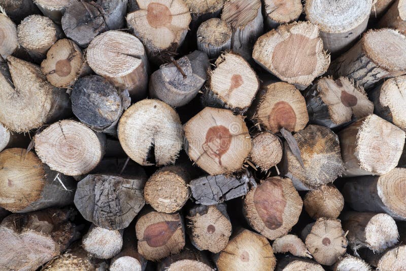 Dry firewood laid in a heap for kindling stock photography