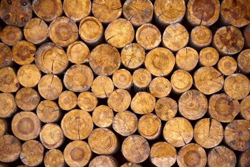 Dry firewood in a pile for furnace kindling royalty free stock images Dry firewood in a pile for furnace kindling royalty free stock images