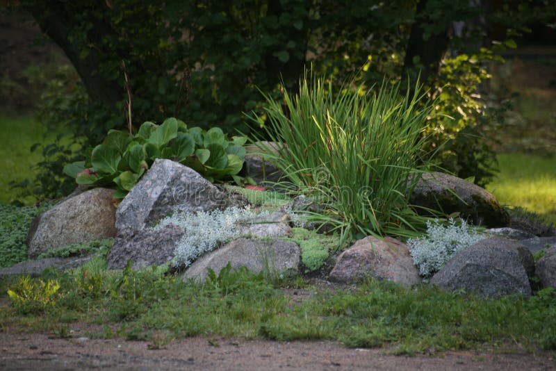 Element of landscape design is a complex combination bed style of the Alpine slide. royalty free stock photos