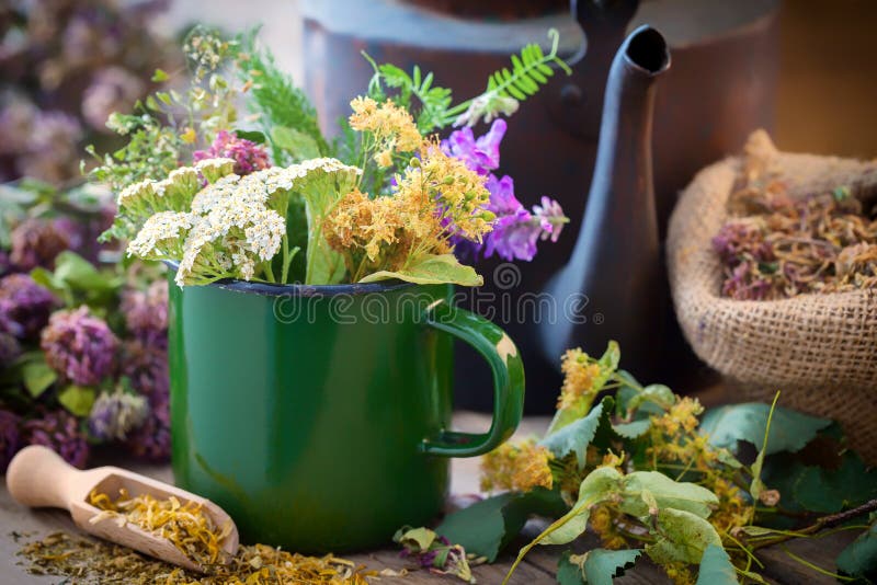 Enameled mug of summer healing herbs, old tea kettle and medicinal plants. Enameled mug of summer healing herbs, old tea kettle and medicinal plants for healthy stock images