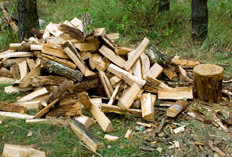Firewood. Store in the pine forest background stock photos
