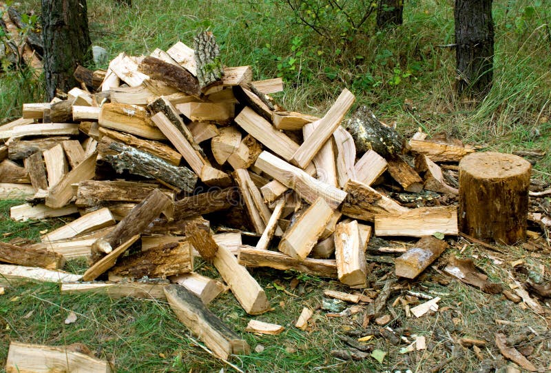 Firewood. Store in the pine forest background stock photos Firewood. Store in the pine forest background stock photos