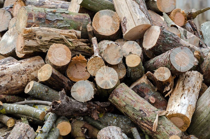 Firewood. Big pile of conifers firewood stock photography