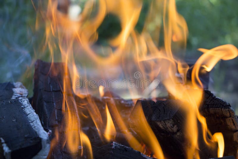 Firewood in fire flames. Background. Flaming firewood. Green grass in background. Close up. Outdoor recreation. Barbecue cooking stock photos