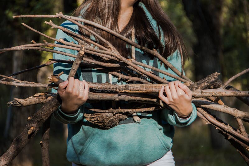 Firewood. A girl carries a firewood stock photography