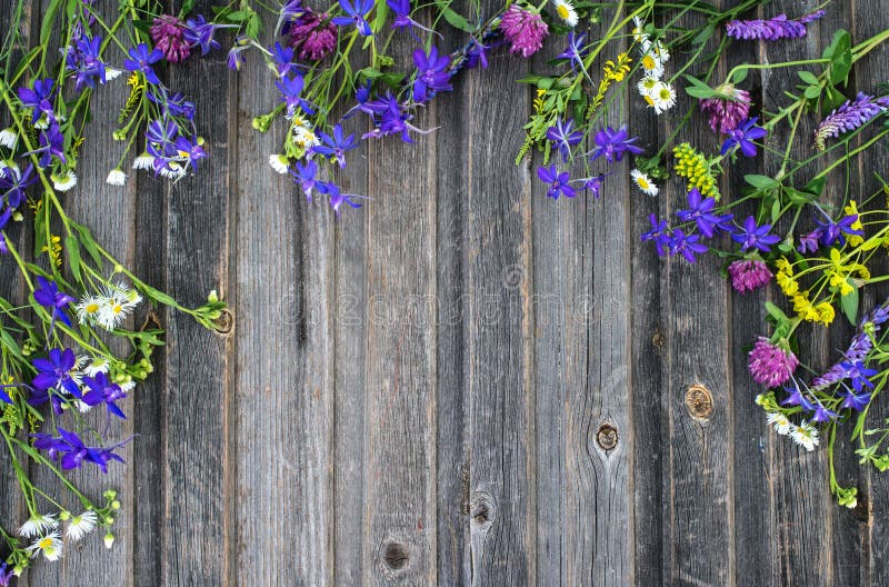 Floral colorful background. Field flowers on vintage weathered w royalty free stock image Floral colorful background. Field flowers on vintage weathered w royalty free stock image