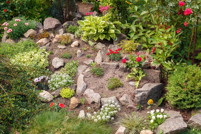 Flower garden with fresh plants and stones stock photo