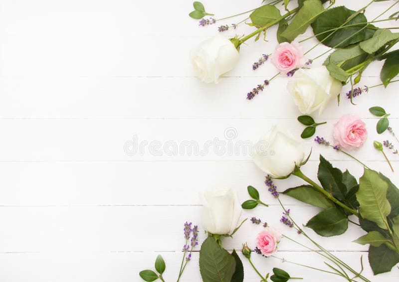 Flowers flat design. Pink and white  roses and lavender flowers on white wooden board. Lavender  mock up, provence template,. Lavender template for greeting stock images