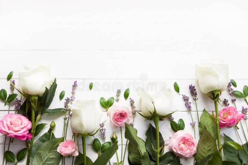 Flowers flat design. Pink and white  roses and lavender flowers on white wooden board. Lavender  mock up, provence template,. Lavender template for greeting stock images