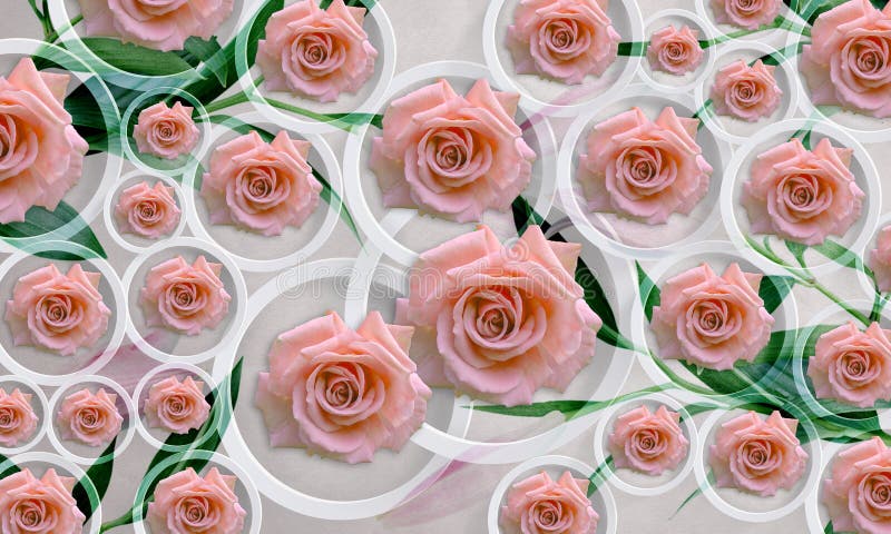 Flowers roses on white background in circles. Photo wallpaper for interior. 3D rendering. Flowers roses on white background in circles. Photo wallpaper for vector illustration
