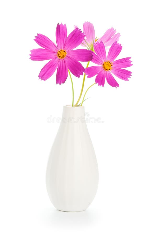 Flowers in vase. Beautiful pink flowers in white vase royalty free stock image