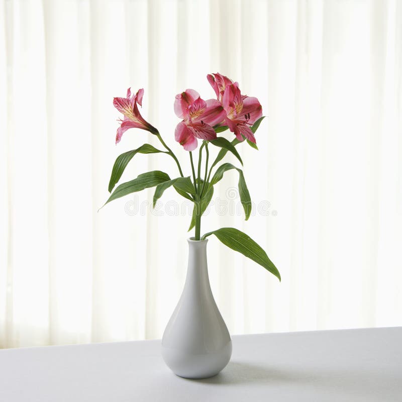 Flowers in vase. Pink Alstremeria flowers in white vase stock image