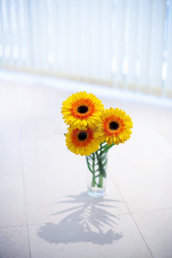 Flowers in vase. Closeup shot with shallow dof royalty free stock photography