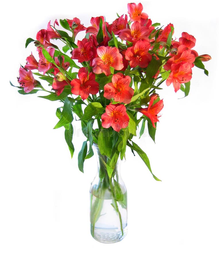 Flowers Vase. Beautiful bouquet of flowers in vase; isolated on white royalty free stock photography