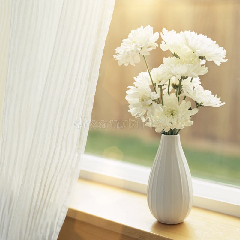 Fresh flowers in vase on windowsill with sheer fabric curtains window coverings. Simple, natural, home interior decor. royalty free stock images