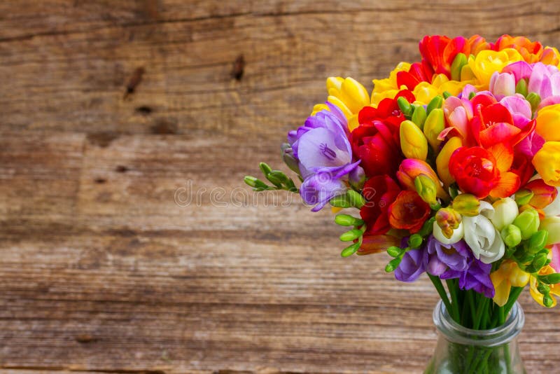 Fresh freesia flowers stock photo