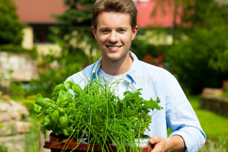 Gardening in summer - man with herbs. Gardening in summer - happy man with different kind of fresh herbs stock image