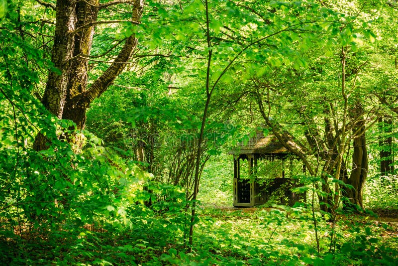 Gazebo in green spring summer garden. Old wooden gazebo in green spring summer garden park forest. Garden pergola with forest in background royalty free stock photography