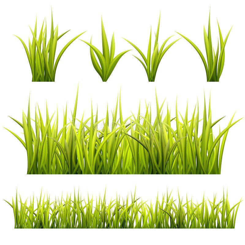 Grass and herbs, summer landscape. For design vector illustration