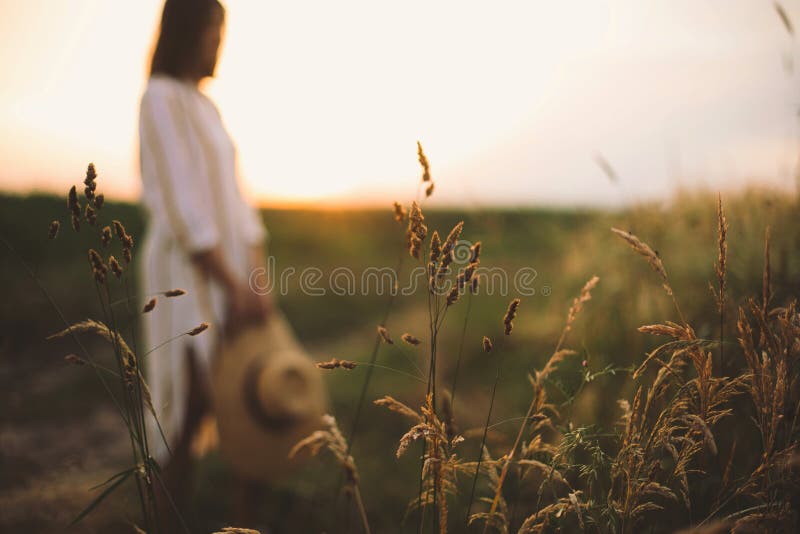 Herbs and grasses in sunset light on background of blurred woman in summer meadow. Wildflowers close up in warm light and rustic. Girl relaxing in evening in stock photography