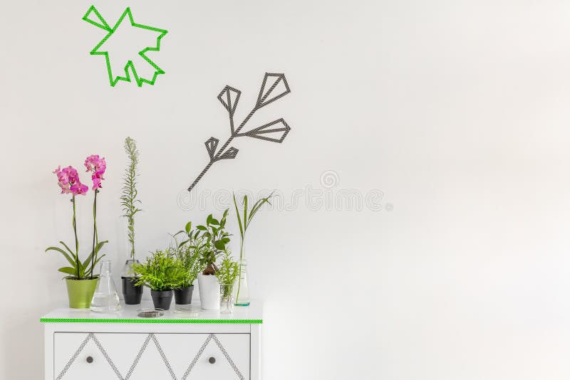 Indoor plant decor idea royalty free stock image