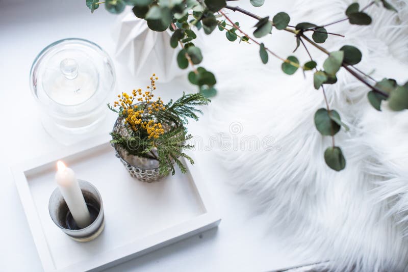 Interior tray decoration with burning candle, mimosa flowers and branches royalty free stock photo