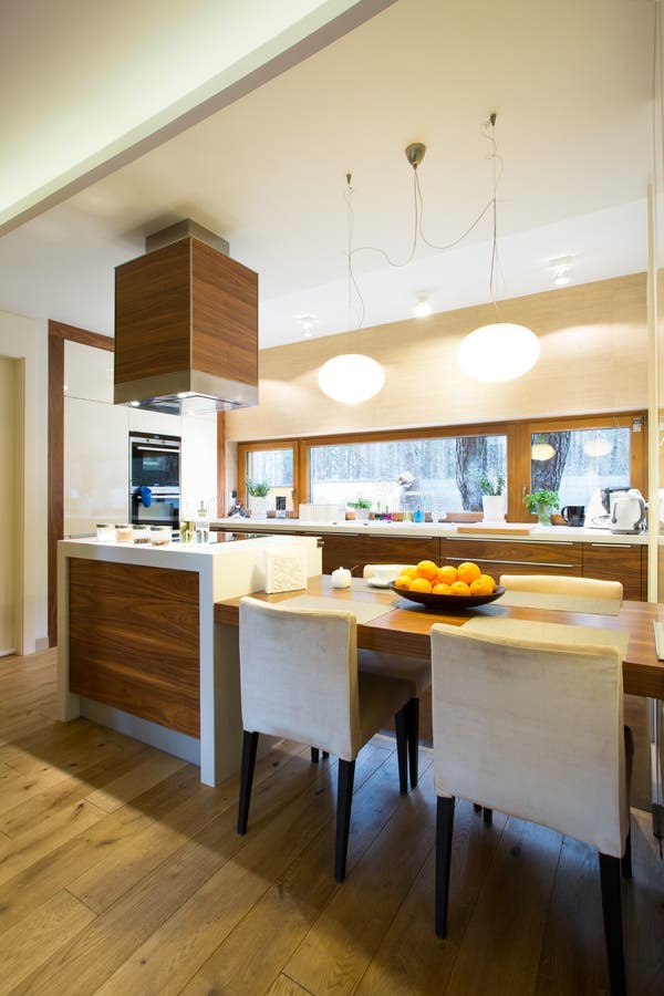 Kitchen interior in modern house. Stylish kitchen interior in modern house royalty free stock photos