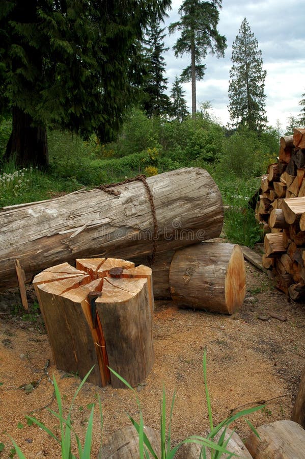 Logs-firewood. Cutting firewood royalty free stock photography Logs-firewood. Cutting firewood royalty free stock photography