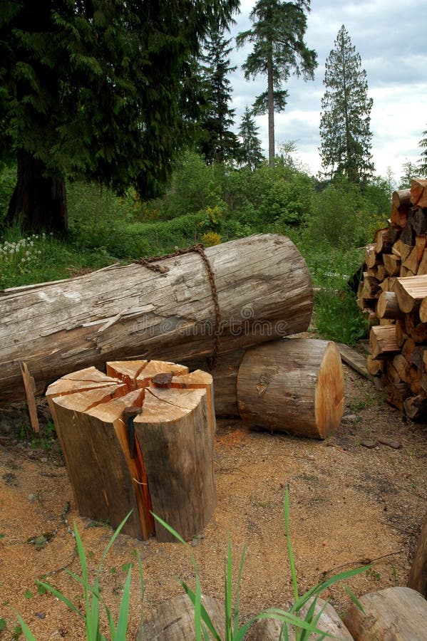 Logs-firewood. Cutting firewood royalty free stock photography