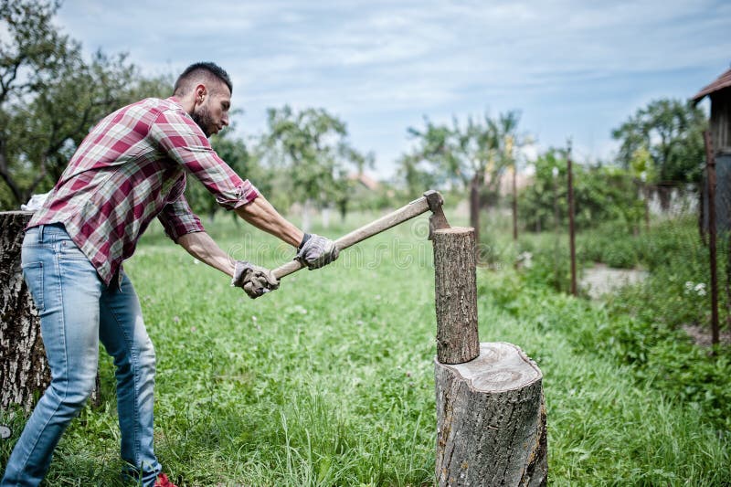 Man splitting wood and cutting firewood with axe. Athletic man splitting wood and cutting firewood with axe stock photography