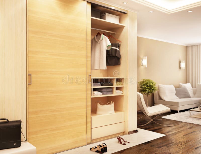 Modern closet in the hallway and view of the living room stock image