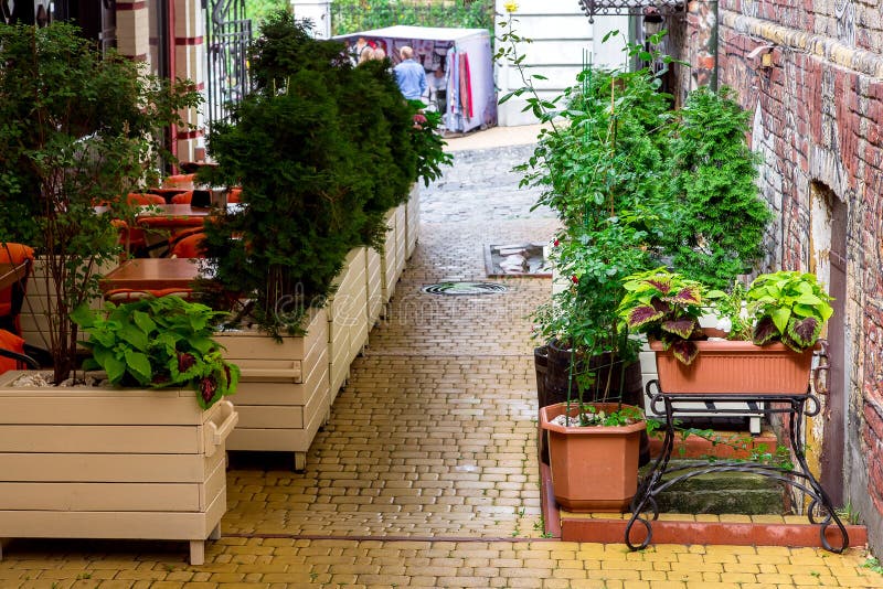 Outdoors cafe in eco style with many flowerpots. stock photography