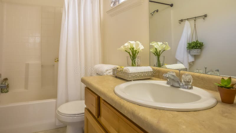 Panorama Cozy home bathroom interior decorated with lush green plants and white flowers. Vanity, toilet, bathtub, and shower can be seen inside the room royalty free stock image