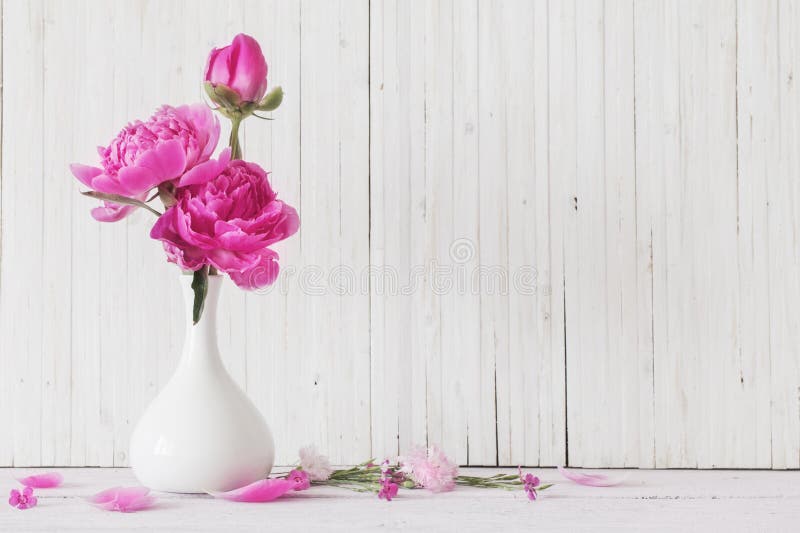 Peony flowers in vase. On white background stock photo