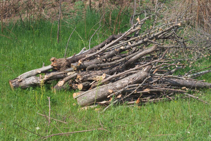 Pile of firewood on grass. A heap of gathered firewood on lush green grass stock photography