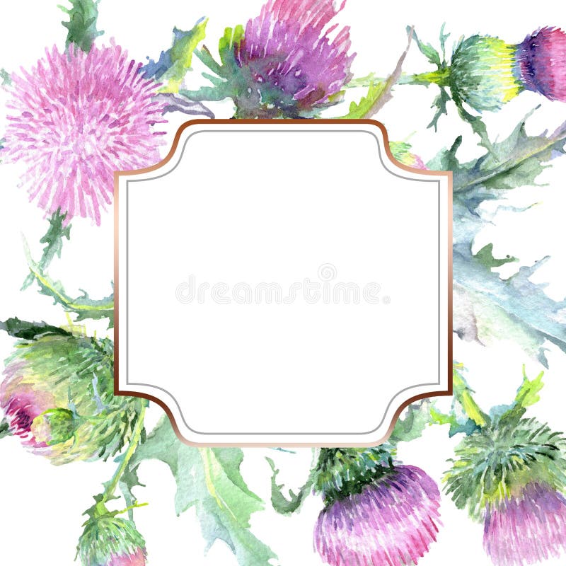 Pink thistle floral botanical flowers. Watercolor background illustration set. Frame border ornament square. royalty free illustration