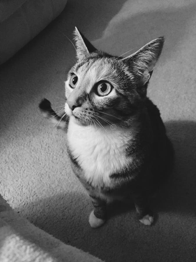 Black and White Black and White