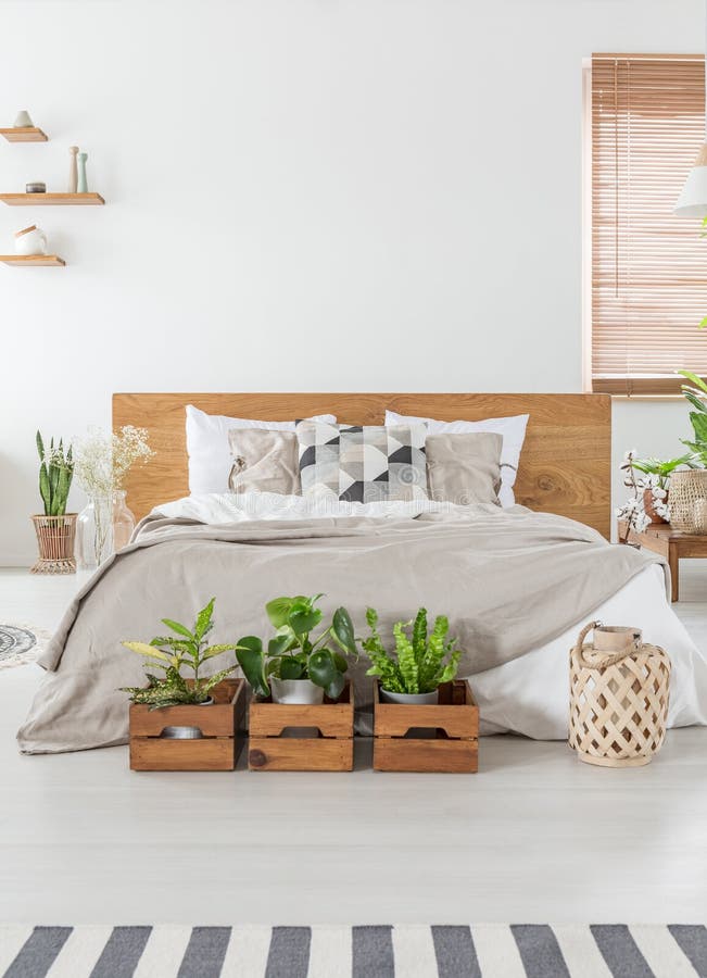 Real photo of a cozy bedroom interior with a double bed, plants in wooden boxes and empty wall in the background. Place your graph stock photos