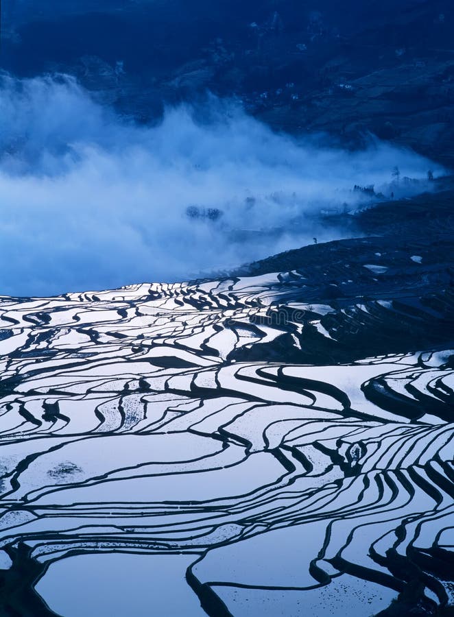 Rice terraces of yuanyang in the morning. Ancient village and rice terraces of yuanyang,Yunnan,China royalty free stock photo