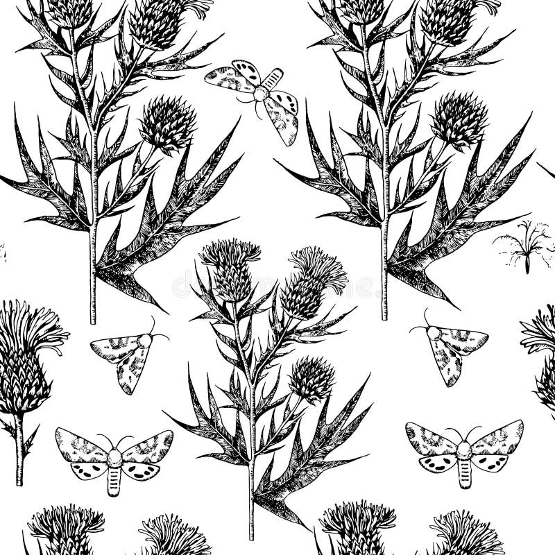 Seamless pattern with thistle flowers. Black and white ink engraving illustration. stock illustration