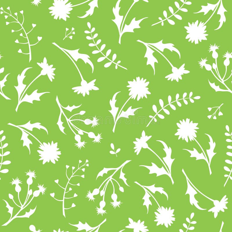Seamless white and green pattern with wild flowers. Vector illustration. vector illustration