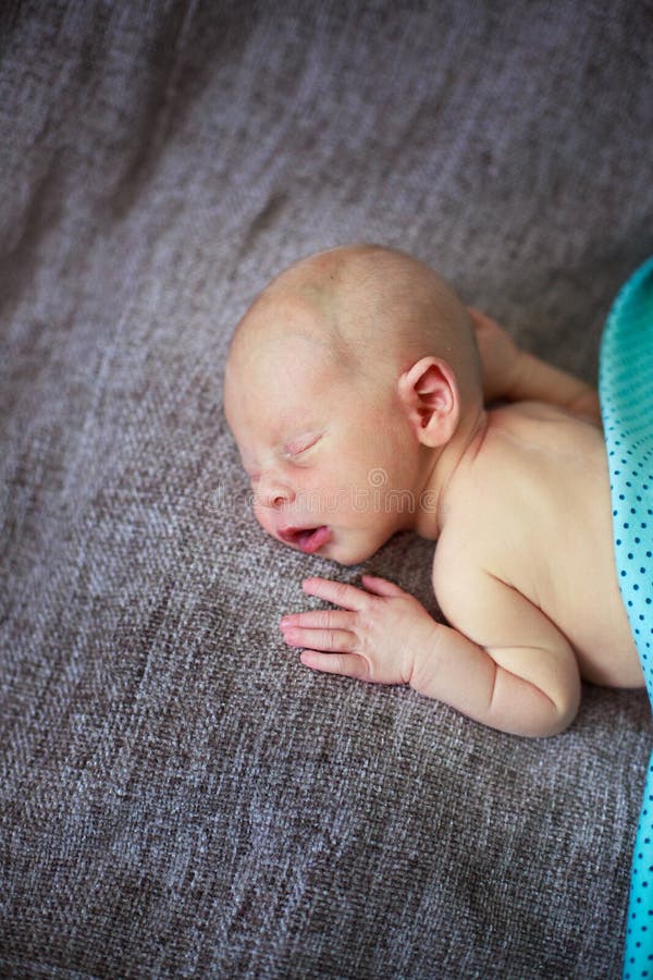 Sleeper newborn baby, gray background royalty free stock images