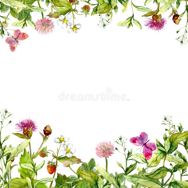 Spring, summer garden: flowers, grass, herbs, butterflies. Floral pattern. Watercolor. Spring, summer garden: flowers, grass herbs, butterflies Floral pattern royalty free stock image Spring, summer garden: flowers, grass, herbs, butterflies. Floral pattern. Watercolor. Spring, summer garden: flowers, grass herbs, butterflies Floral pattern royalty free stock image
