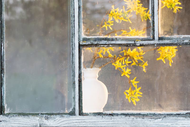 Spring yellow flowers in vase on window. The spring yellow flowers in vase on window royalty free stock photos