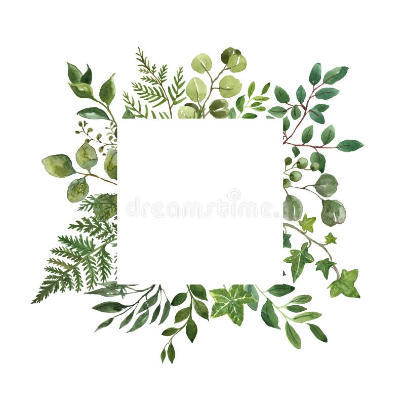 Watercolor greenery foliage frame on white background. Fresh lush herbs, leaves, green branches frame. Summer floral wreath. Square greenery frame. Watercolor vector illustration