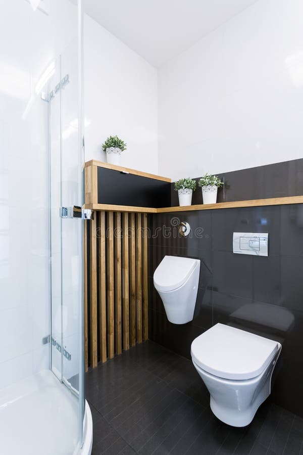 Stylish bathroom in modern mansion stock image